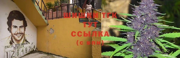 соль ск Кулебаки